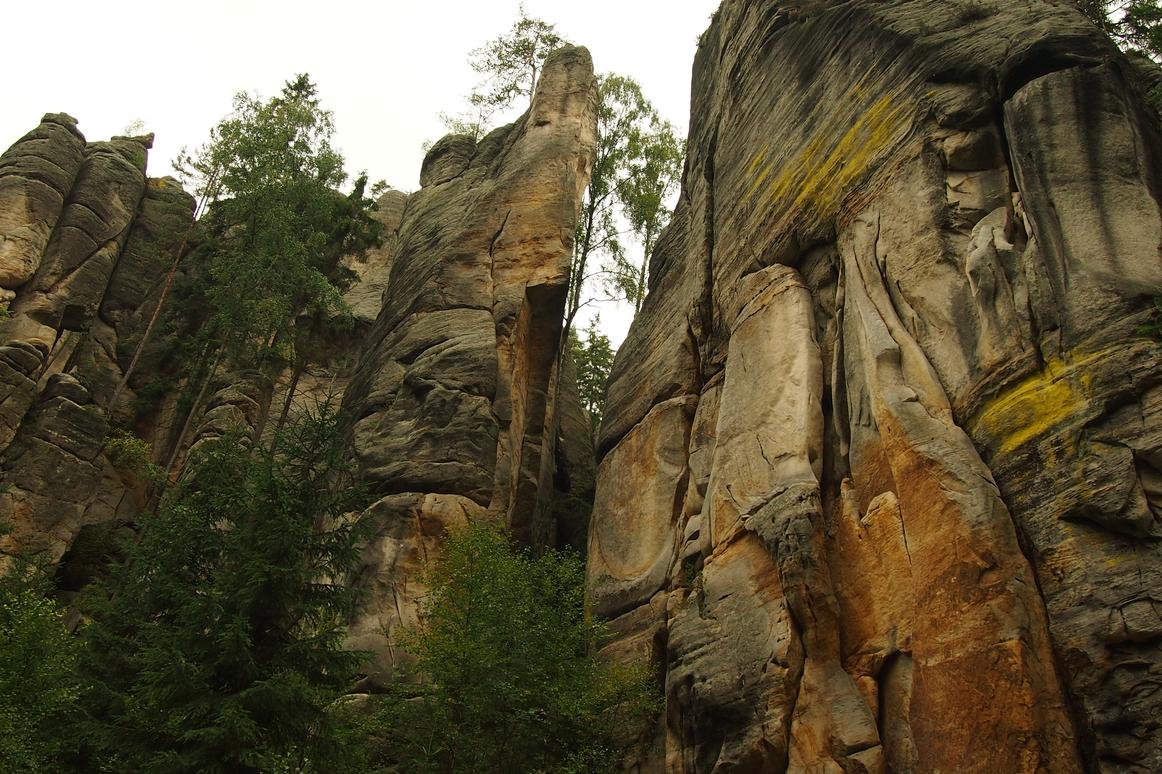 Tenetur repellat qui ut exercitationem distinctio iusto