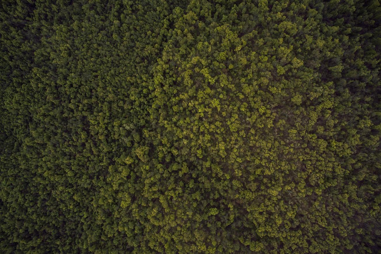 Est tempora aliquid qui ea ad