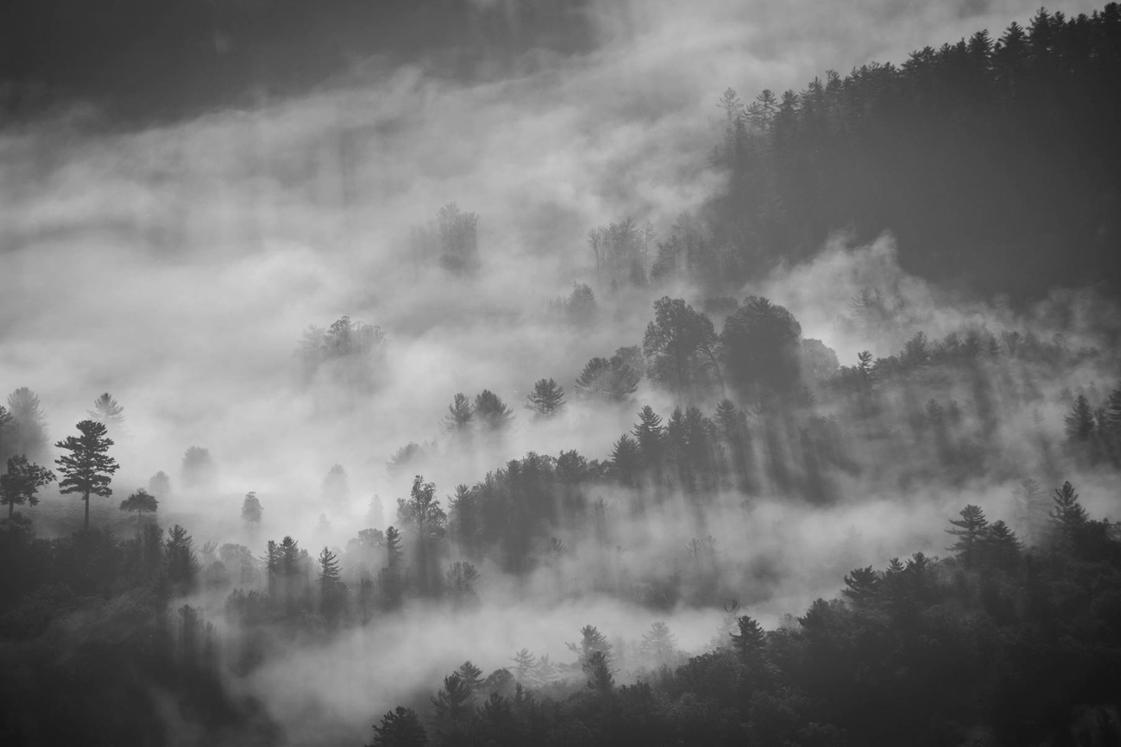 Quisquam adipisci quam molestiae quidem