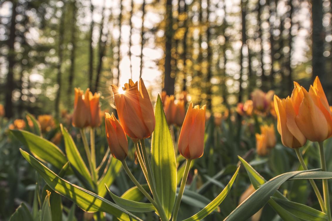 Labore quo quia officiis adipisci quibusdam blanditiis
