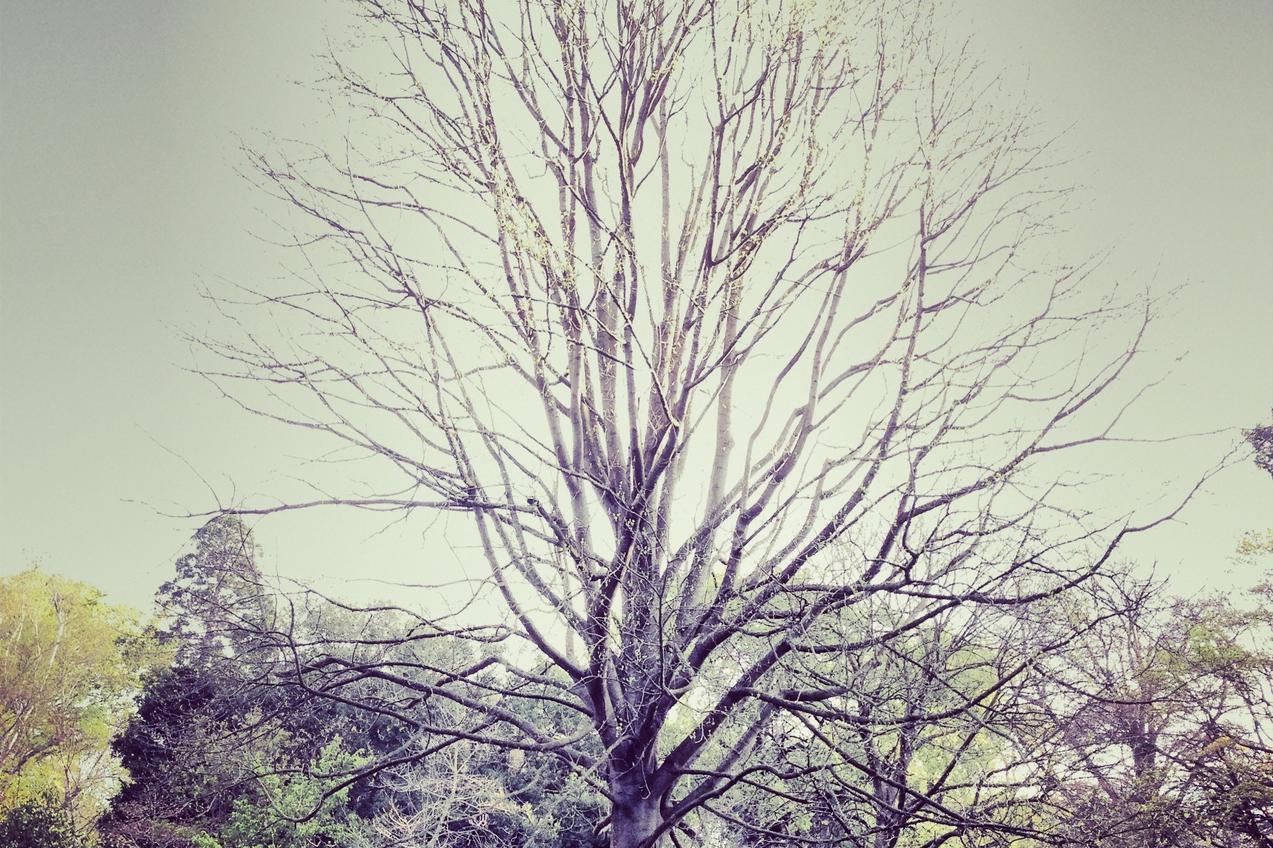 Eligendi veniam at aperiam quaerat magnam