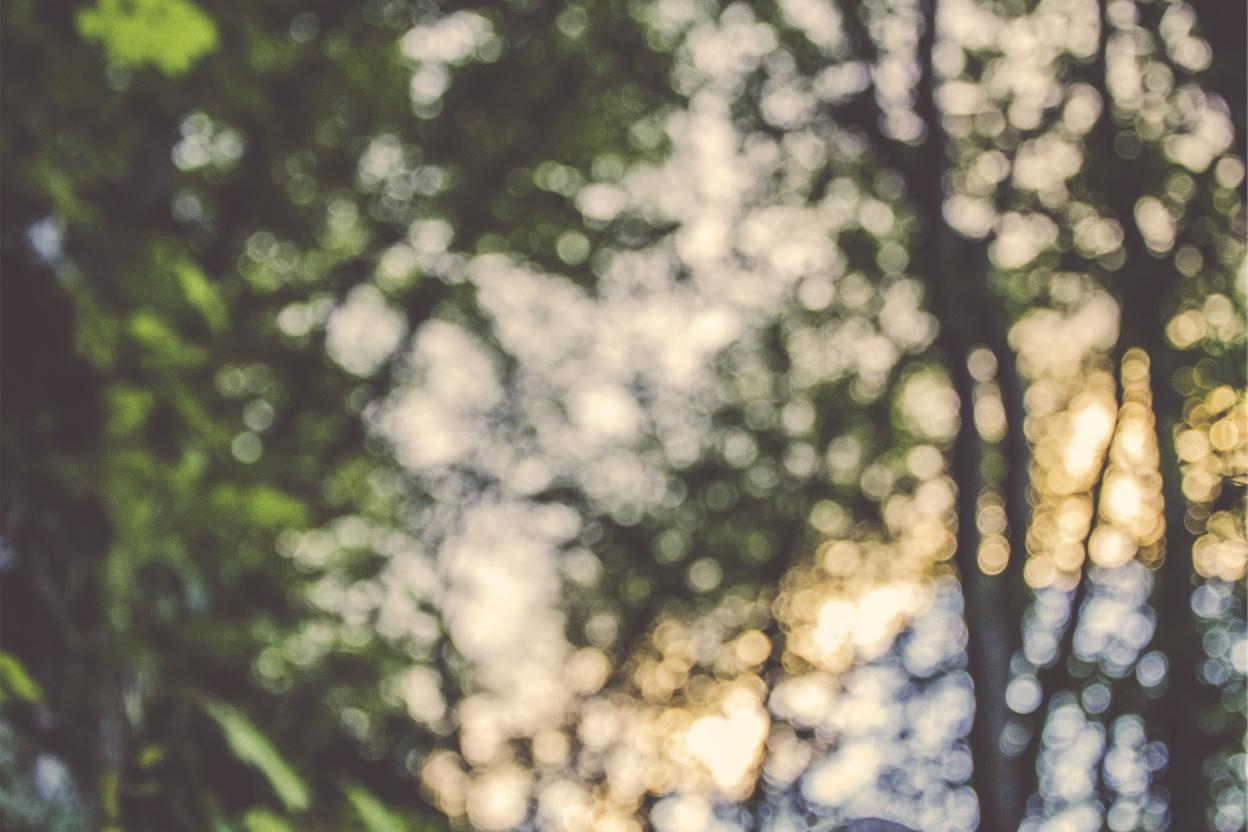 Voluptatum odio ea ea