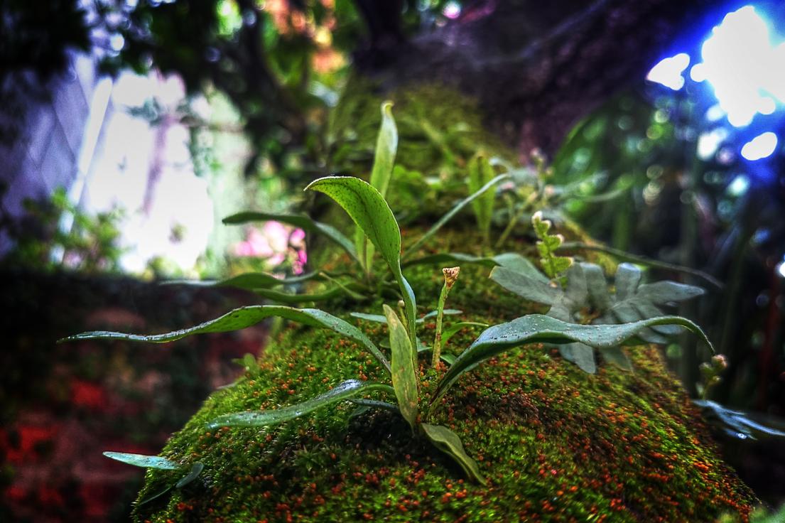 Sed aut sed voluptatibus