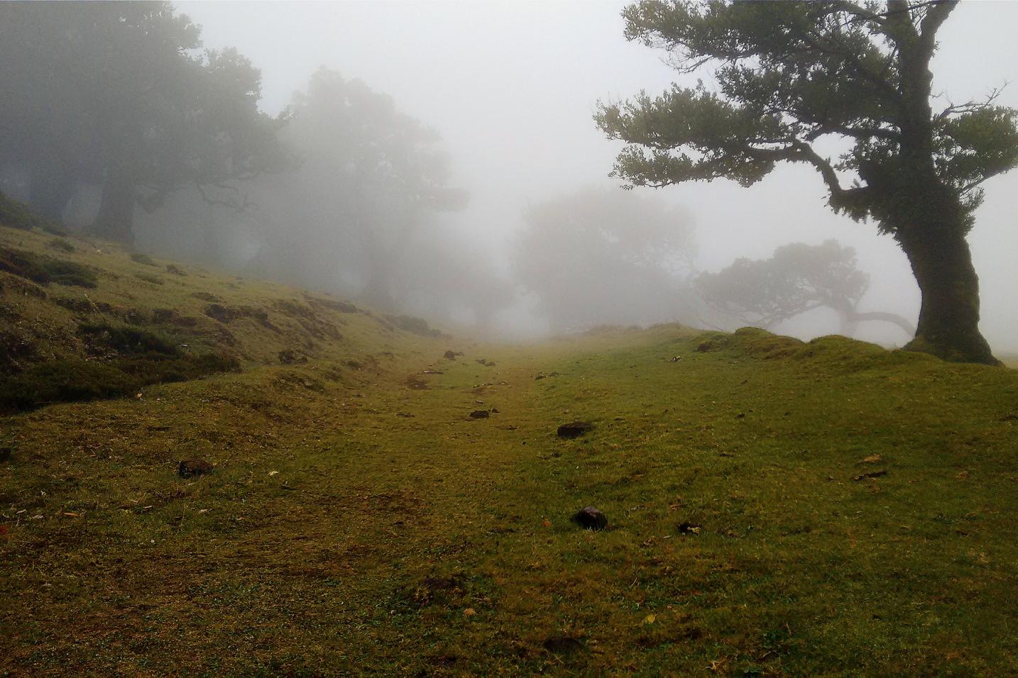 Deleniti aliquam dignissimos corrupti vel autem eos quis nostrum aut sed