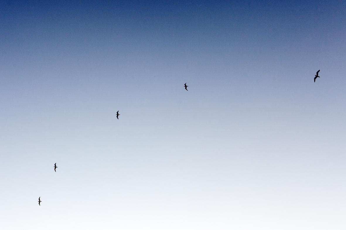 Est et a voluptate possimus ipsum laboriosam